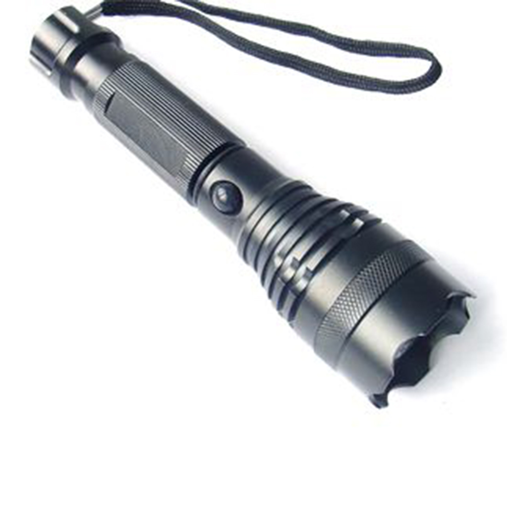 Temlum-LED torch01