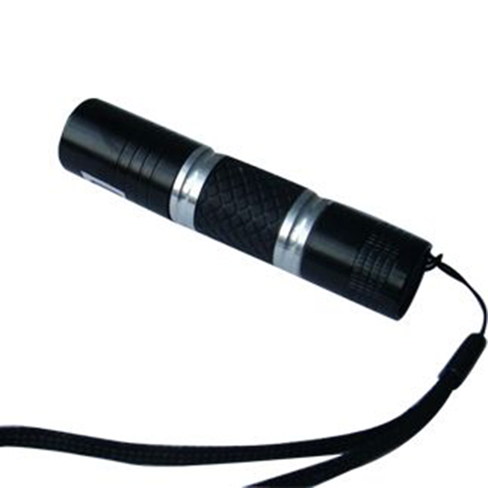 LED TORCH12